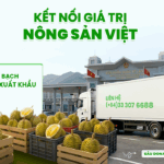 xuất khẩu sầu riêng