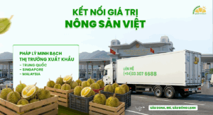 xuất khẩu sầu riêng
