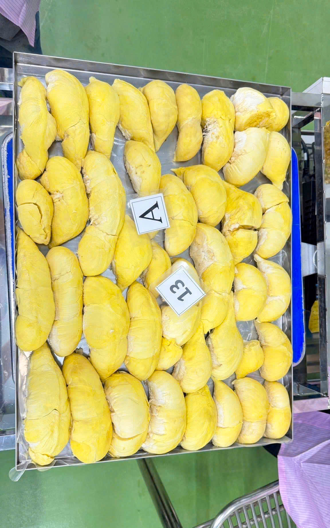 sầu cấp đông queen duri
